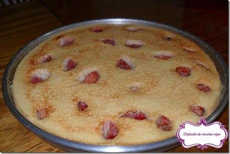 Chafoulis de ciruelas rojas copy