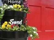 Proyecto finde macetero para entrada