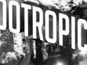 Lower Dens Nootropics