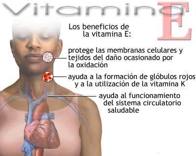 vitaminae Beneficios de la vitamina E