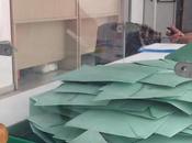 esta tarde elecciones desde urna Cadiz