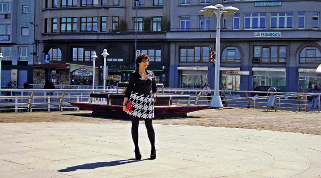 Estampado Pata de Gallo*Pipilotta Moda