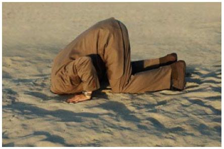 No os desmoralicéis jamás