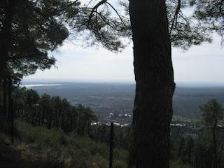 El Camino de la Práctica