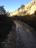 ENTRENAMIENTO BOCINERO