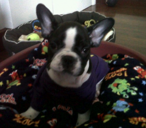 Encuentra las diferencias