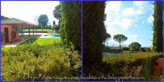 Beauty Experience de Zorgan