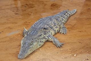 Primavera = ocio al aire libre