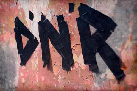 Dinero estrenan un tema inédito