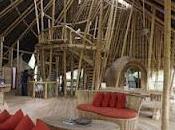 (396) bali registra bonanza construcción bambú