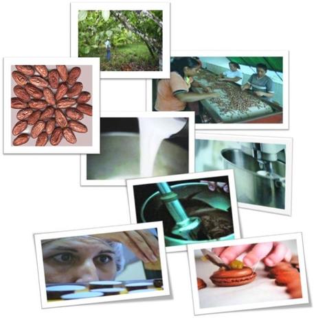 Cata de chocolate. ¿Juegas?