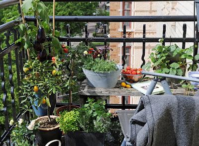 ¿Desayunamos fuera?