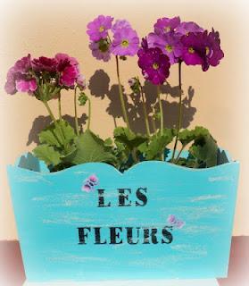 Hoy compartimos... entrevistas