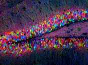 lugar donde residen recuerdos