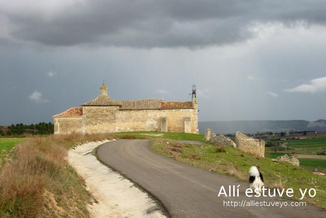 Trigueros del Valle. Ampudias.