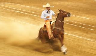 Don Roberto, a Primero con 384 en el Circuito Charro Jalisco