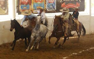 Don Roberto, a Primero con 384 en el Circuito Charro Jalisco