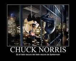 CHUCK NORRIS SE PASA A LOS VIDEOJUEGOS