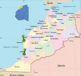 Aceite de Argán: El Oro del Sur de Marruecos