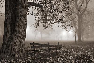 YO QUIERO PASAR UNA NOCHE EN LA CASA