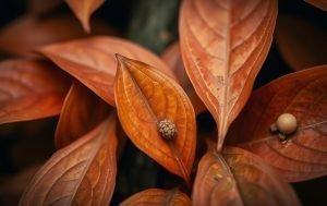 Qué es la variabilidad estadística y cómo evitar errores al analizar datos