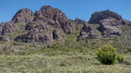 IMG_20220227_133034699_HDR.jpg