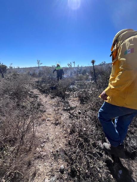 Controlan incendio forestal en Santo Domingo; reportan 90% de liquidación Controlan incendio forestal en Santo Domingo; reportan 90% de liquidación