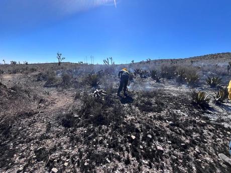 Controlan incendio forestal en Santo Domingo; reportan 90% de liquidación