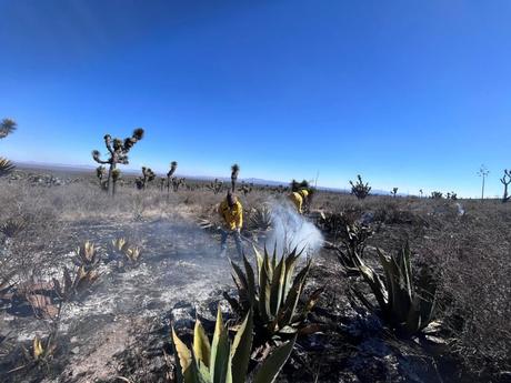 Controlan incendio forestal en Santo Domingo; reportan 90% de liquidación Controlan incendio forestal en Santo Domingo; reportan 90% de liquidación
