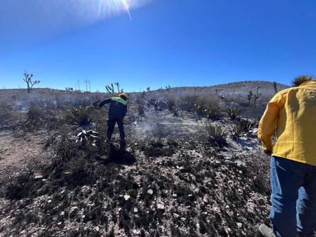 Controlan incendio forestal en Santo Domingo; reportan 90% de liquidación Controlan incendio forestal en Santo Domingo; reportan 90% de liquidación