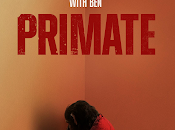 Primate