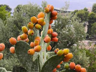 EL CASTILLO DE LEIXLIP EL CASTILLO DE LEIXLIP
